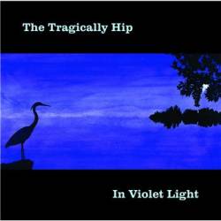 The Tragically Hip : In Violet Light